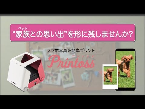 プリントス “ペットとの思い出”を残しませんか？