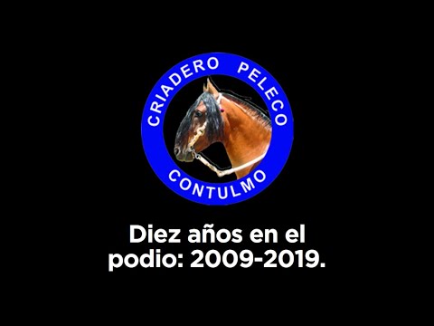 Criadero Peleco, diez años en el podio: 2009-2019.