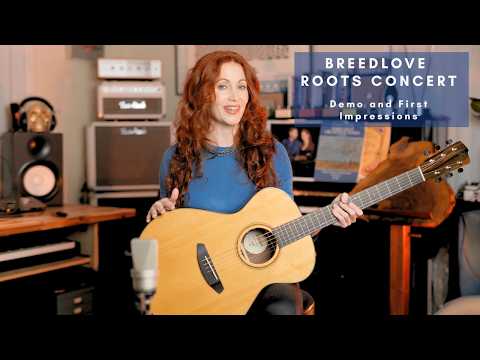 Breedlove Roots Concert Demo and First Impressions + "Endless Waves" by Steve Morse