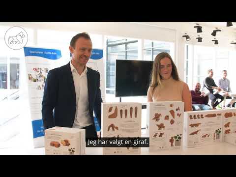 FableWood - 'Gavegivning'-video