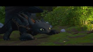 How To Train Your Dragon - Training Montage