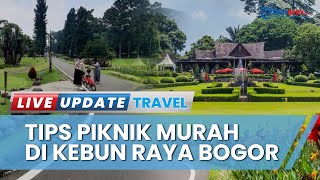 4 Tips Piknik di Kebun Raya Bogor, Bisa Coba Paket Piknik hingga Bawa Bekal Sendiri