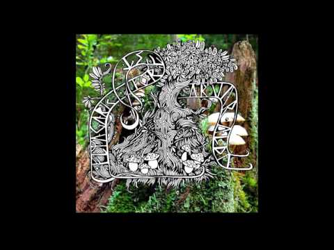 Flyagaric Forest - Cosmical Jazz