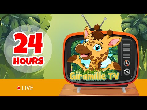 Giramille TV | 🦒 Cartoon For KIDS 24H