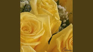 yellow roses Music Video