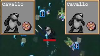 もう慣れたVampirie Survivors パンダ編