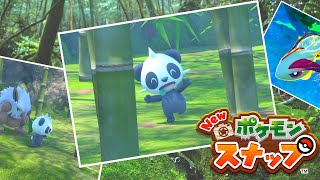 【実況】師匠の思い、ヤンチャムの夢「Newポケモンスナップ」＃９