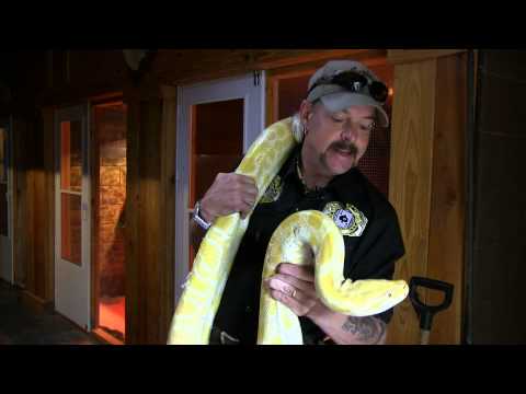 GW Zoo Animal Spotlight - Athena