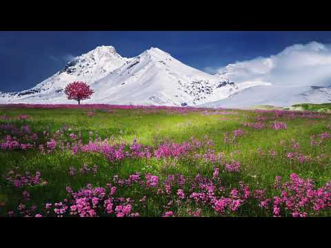 W CZASACH OCZYSZCZENIA cz  5  Ks  Domonik Chmielewski