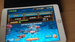 Состав приманки fish hungry shark взлом