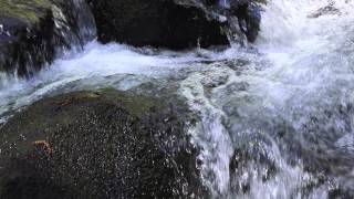 preview picture of video 'Oregon Nestucca River 12'
