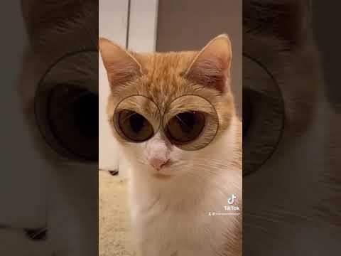 Hello my name is Suzie. That’s Suzie with a Z