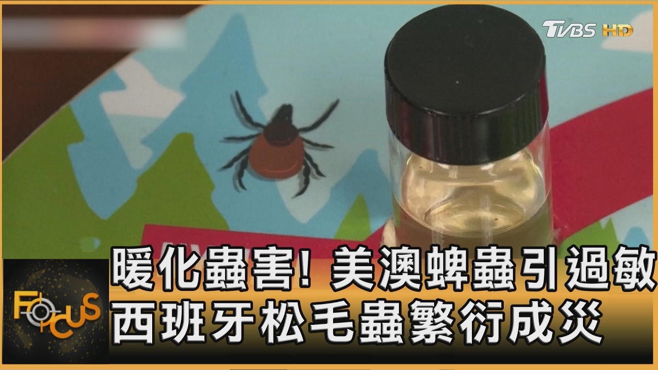 暖化蟲害!美澳蜱蟲引過敏 西班牙松毛蟲繁衍成災