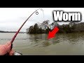 Fishing With Live Worms - Easy Ways to Find Fish From the Bank