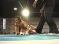 2009 06 09 KANEMOTO YOSHIHASHI Vs IBUSHI AOKI