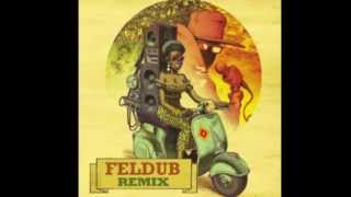 Mojo Riddim, Taïwan MC & Biga Ranx (Feldub RMX)