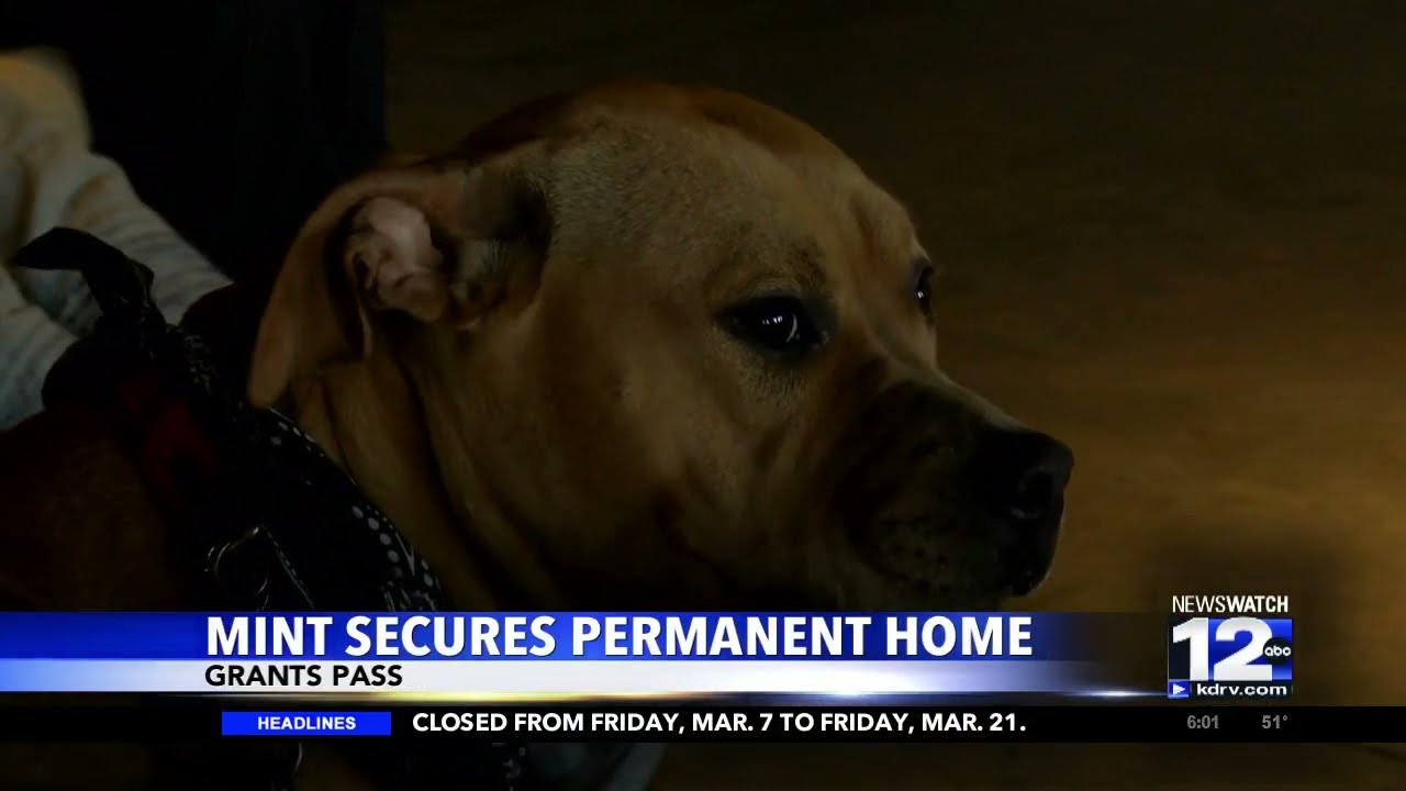 Mint secures permanent home