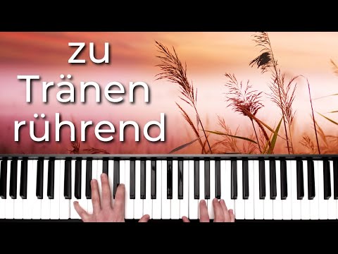 Mit diesen 4 Akkorden berührst du tausende Menschen