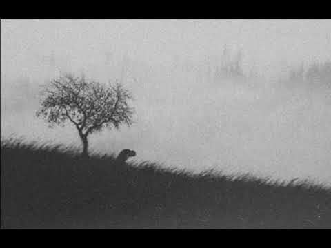 Aveth - Into The Depths Of Darkness And Misery