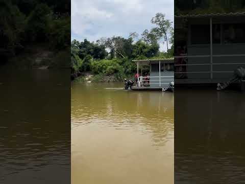 Flutuante ipixuna agende sua experiência (69)992838430 #amazonas #pescaria #pesca #barcopesqueiro