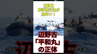 【衝撃】修学旅行生が危ない！辺野古「平和丸」の正体。海保の警告を無視して逃走…マスコミが報じない恐怖