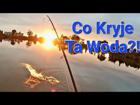 What Hides the Water of Olden Times?! Method Feeder PZW