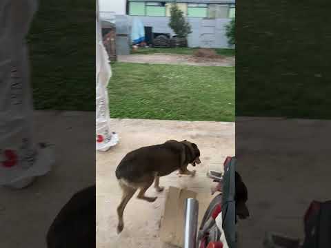 18 de febrero de 2026 granizo en seco tamaño grande en almafuerte cordoba