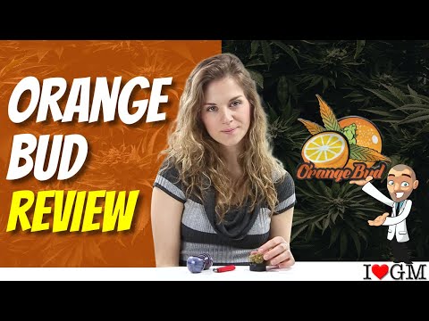 Growing Orange Bud Strain Review & Smoking Orange Bud Strain Review - I LOVE GROWING MARIJUANA
