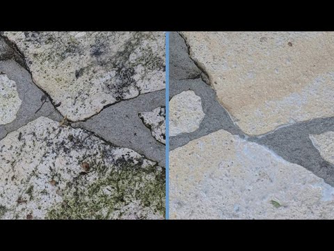 The 5 Best Mold Removers Review And Buying Guide [2023] | Make Your Selection