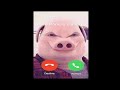 John Pork Is Calling