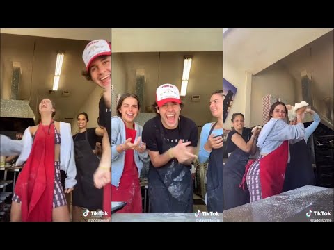 Adison Rae Join the Vlogsquad - David Dobrik & Vlog Squad TikTok 21