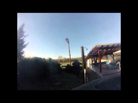 Promo Baumfällungen