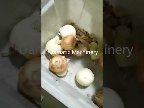 Onion root cutting and peeling line