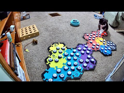 I Think Todd Is Worried The Street Sweeper Is Going To Come Back