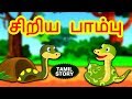 Tamil Stories சிறிய பாம்பு New Tamil Stories தமிழ் கதைகள�