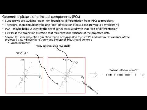 MCB 182 Lecture 9.12 - Introduction to PCA (scRNA-seq)