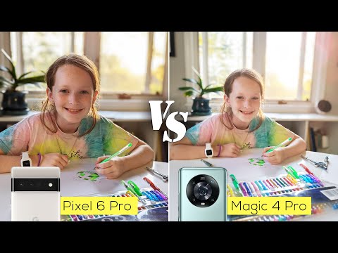 Pixel 6 Pro versus Honor Magic 4 Pro camera comparison
