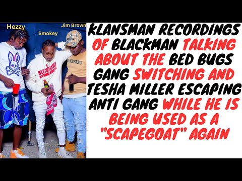 Klansman Gang Trial Recordings Part 8 - Tesha Escape Anti Gang And Bed Bugs Leaders Get Exposed