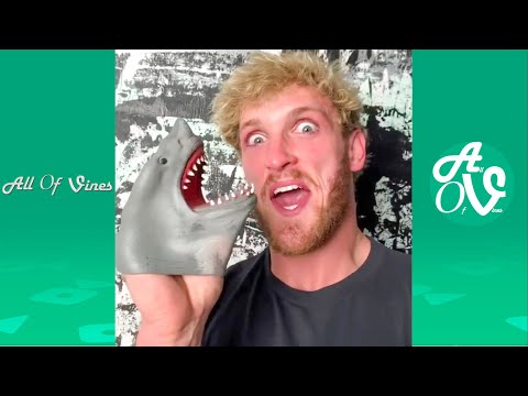 Try Not To Laugh While Watching Shark Puppet Compilation 2020 - Funny Shark Puppet Instagram Videos