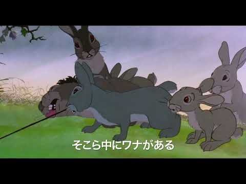 オリバー・ストコフスキー:「この映画は面白いホルスト・リヒターのコメディーではない」