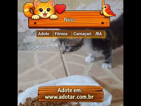 Vídeo de Nina