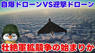 【ペンギン閣下】ドローン群核戦争の始まりか？【ウクライナ情勢】