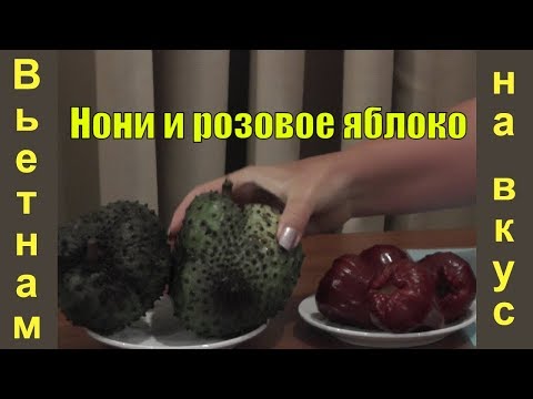 Вьетнам на вкус. Розовое яблоко и нони (сырный фрукт)