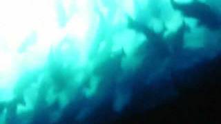 HUNT THE SELF / HOWARD JONES COVER BY JOHNOFETT