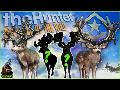 We Hunted Mule Deer For 7 Days & Got 4 Great Ones! Call of the wild