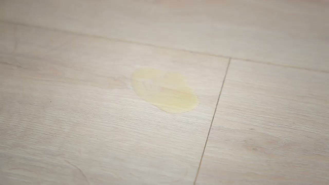 Kattepissfjerner spray – Effektiv luktfjerner