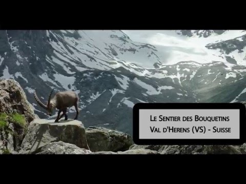 GRANDE DIXENCE " Le Sentier des Bouquetins"