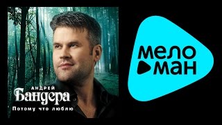 АНДРЕЙ БАНДЕРА - Потому что люблю  ( Альбом 2007) / Andrey Bandera - Because I love