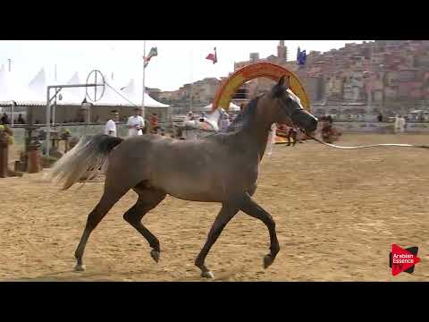 Menton 2019 - 3 Years Old Fillies (Class 3)