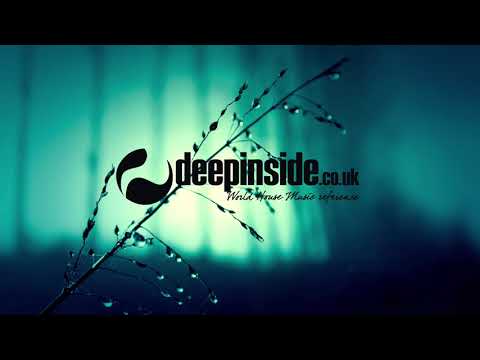 Groove Assassin & Sol Brown feat Selina Campbell - Fireflyin' (Quantize Recordings)